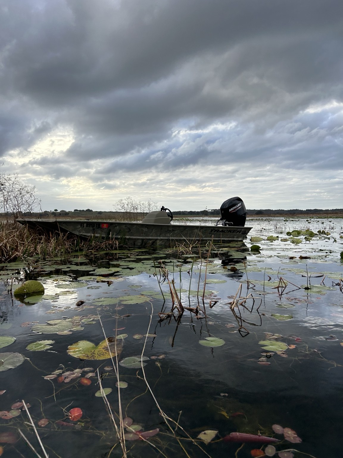 Boat surrounded by aquatic vegetation on a Florida waterway